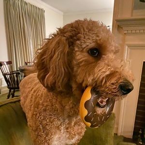 Meet your Posher, Daniel